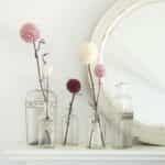 flores de pompon en jarrones transparentes