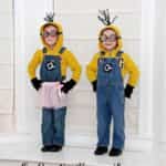dyi minions 20
