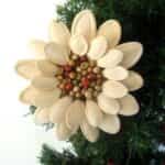 flor navidad calabaza 7