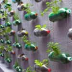 reciclaje botellas de plastico 3