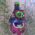 casa pajaros con botella de plastico 5