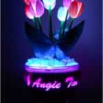 diy cucharas plastico 1