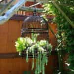 proyectos decorar jardin 1