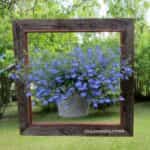 proyectos decorar jardin 3