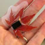 manualidades-con-hojas