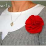 broches de fieltro