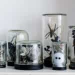 divertidas decoraciones para Halloween