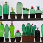 botellas de plástico