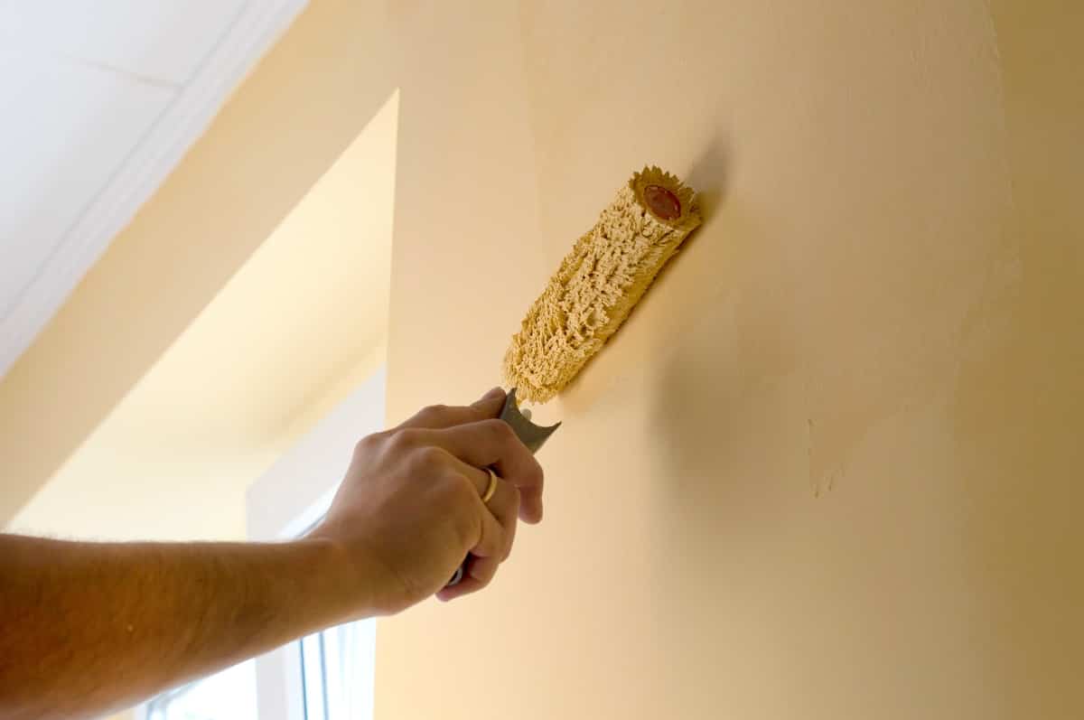 Descubre todo lo que necesitas para preparar las paredes antes de pintarlas